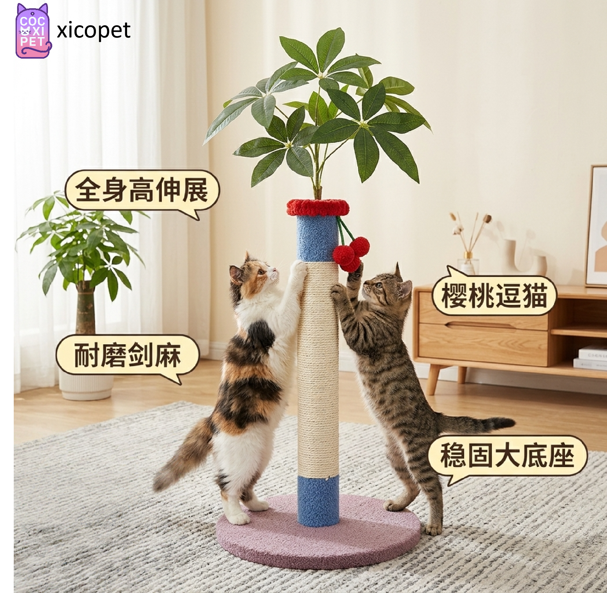 撞色逗猫猫抓柱B-FCS